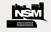 nsm_minilogo
